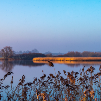 News article entitled Stour Environmental Credits have officially begun selling nutrient credits and opening building opportunities in the Stour catchment