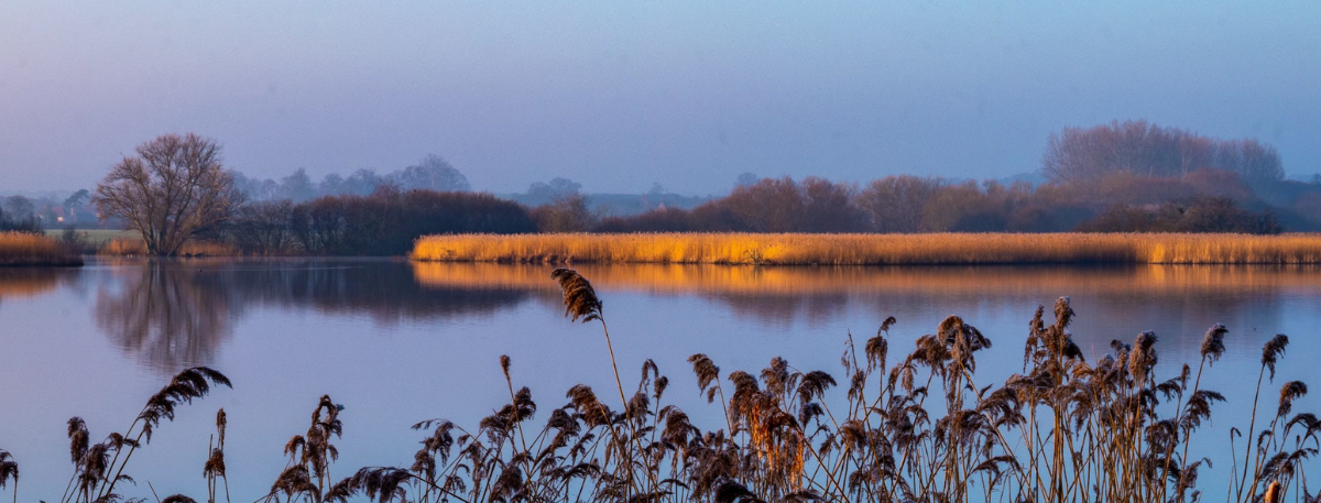 banner image for news article entitled Stour Environmental Credits have officially begun selling nutrient credits and opening building opportunities in the Stour catchment