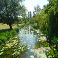 News article entitled Stour Environmental Credits unveils more flexible purchasing after developer feedback