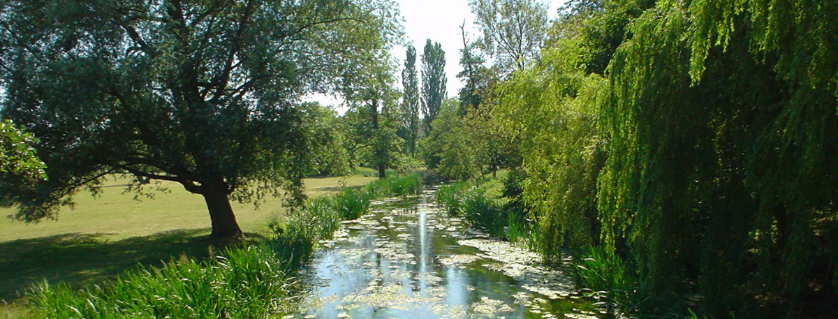 banner image for news article entitled Stour Environmental Credits unveils more flexible purchasing after developer feedback