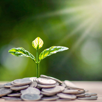 News article entitled 06/11/2025 - Stour Environmental Credits Ltd announce credit pricing